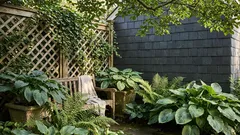 Pflanzen für Schatten: welche Beeren, welches Gemüse und welche Stauden wirklich funktionieren